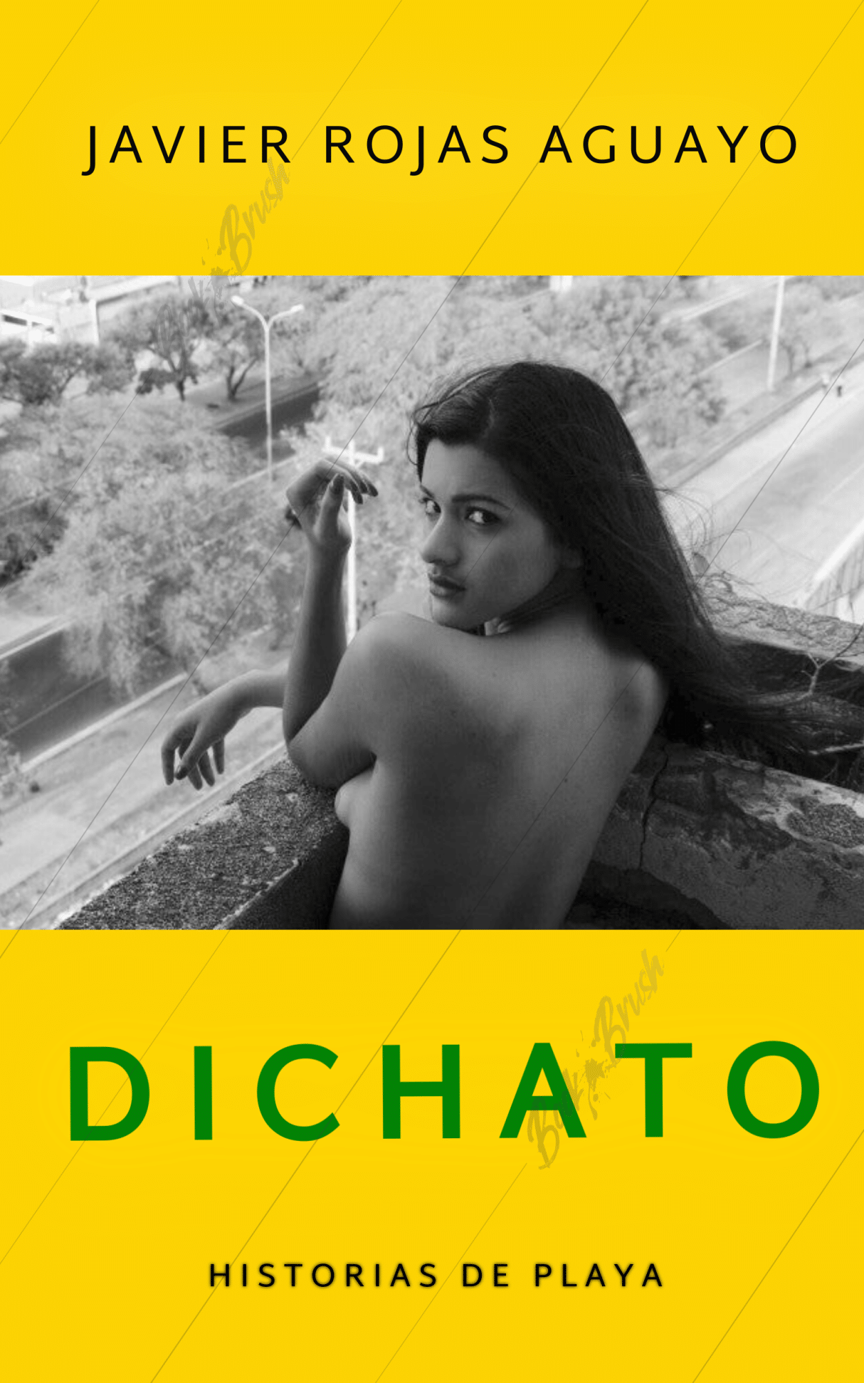 Portada libro en proceso de publicar